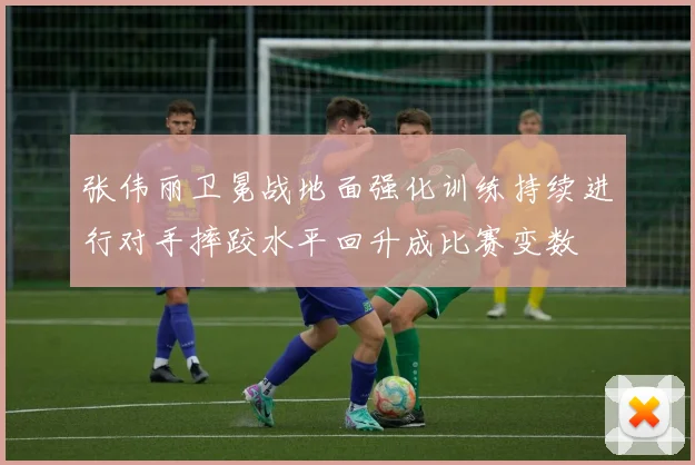 张伟丽卫冕战地面强化训练持续进行对手摔跤水平回升成比赛变数